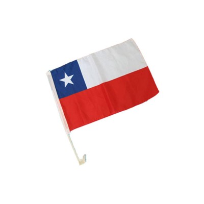 Bandera Chilena 30 x 45cm